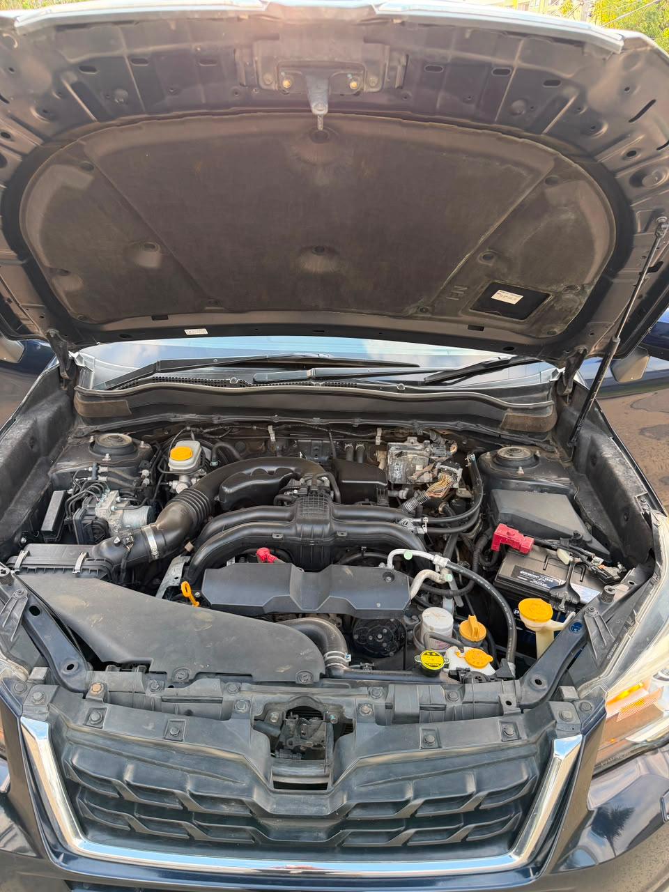 Subaru Forester — view 5