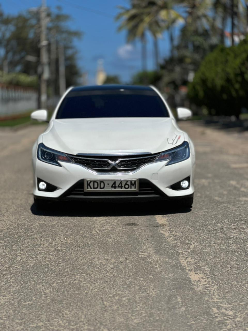 Toyota Mark X — view 4