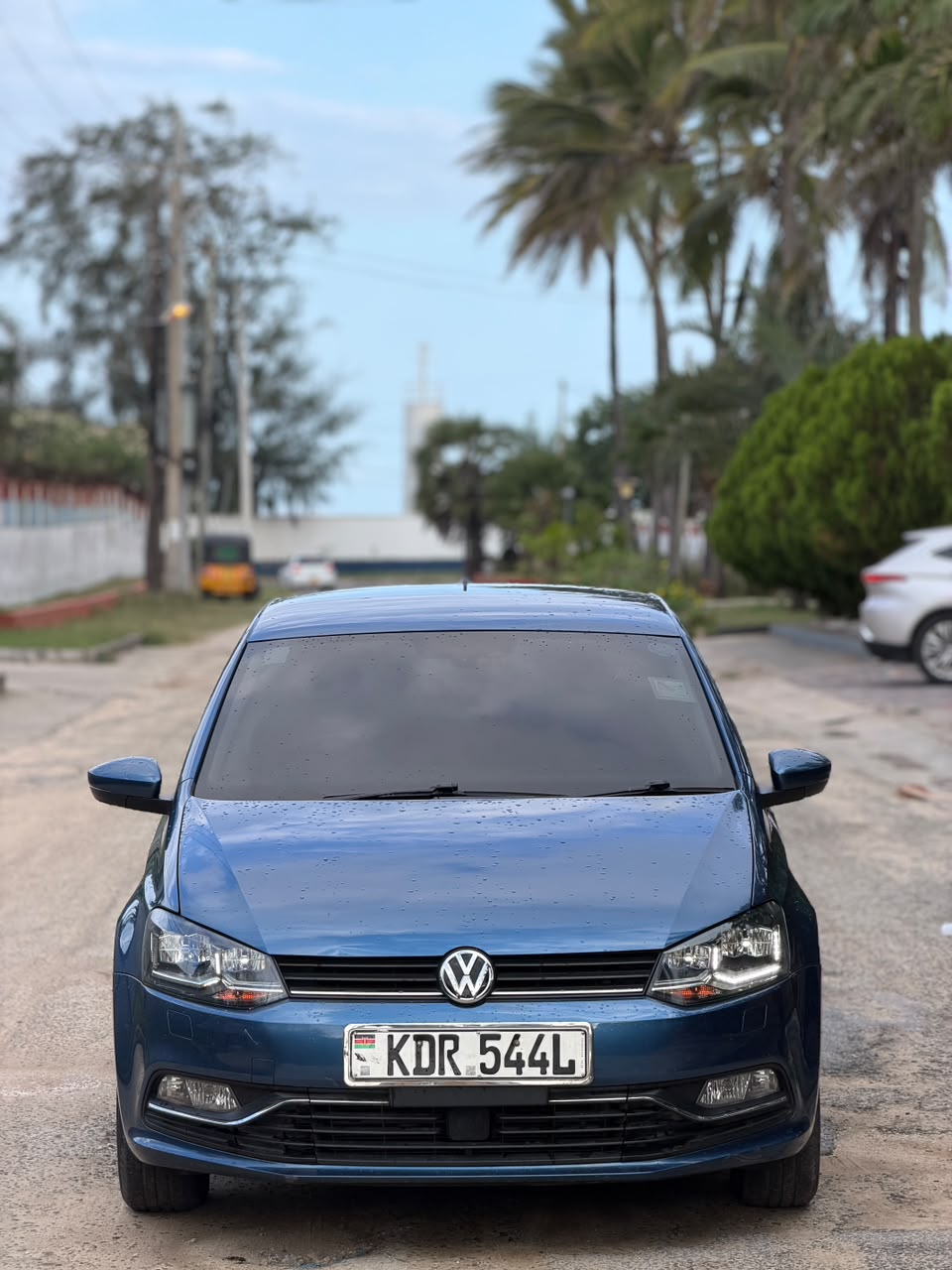 Volkswagen Polo — view 5
